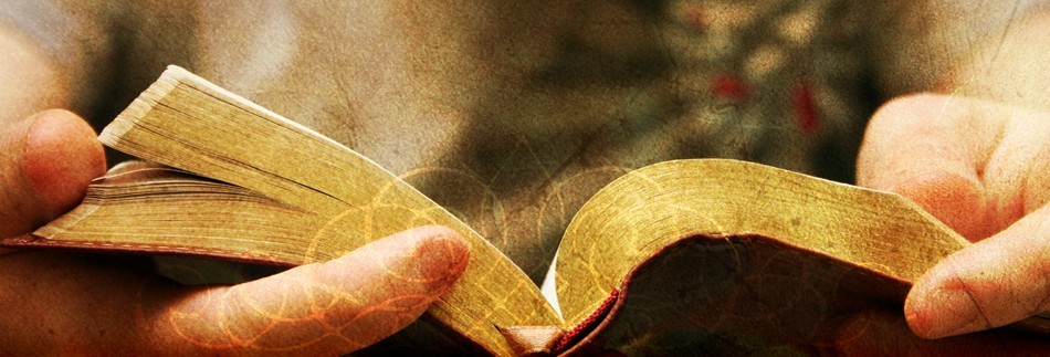 Bible Website Banner